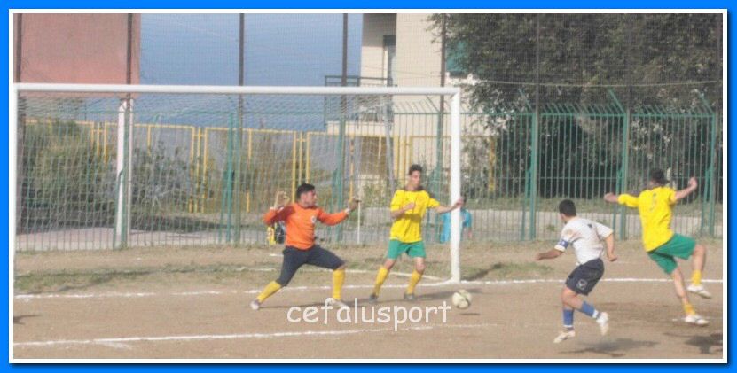 130406 delfini 109y_tn.jpg
